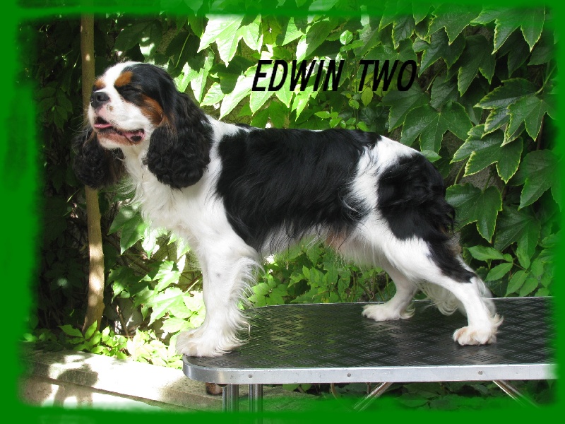 Edwin two de la Closerie Sandwill